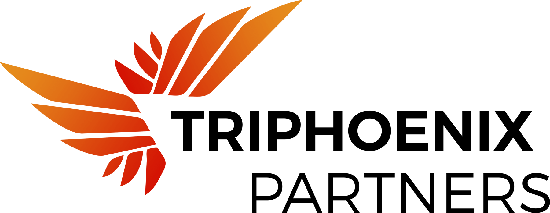 TriPhoenix Partners